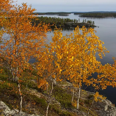 Wilderness Nangu & Igloos Inari