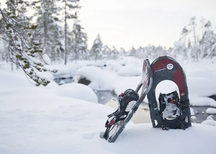 Wilderness Nangu & Igloos فندق إيفالو