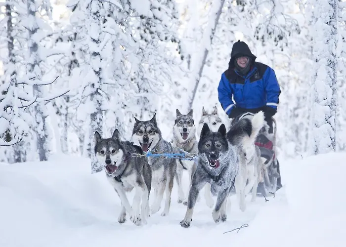 فندق Wilderness Nangu & Igloos